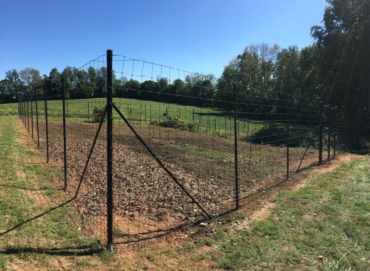 black deer fence around garden