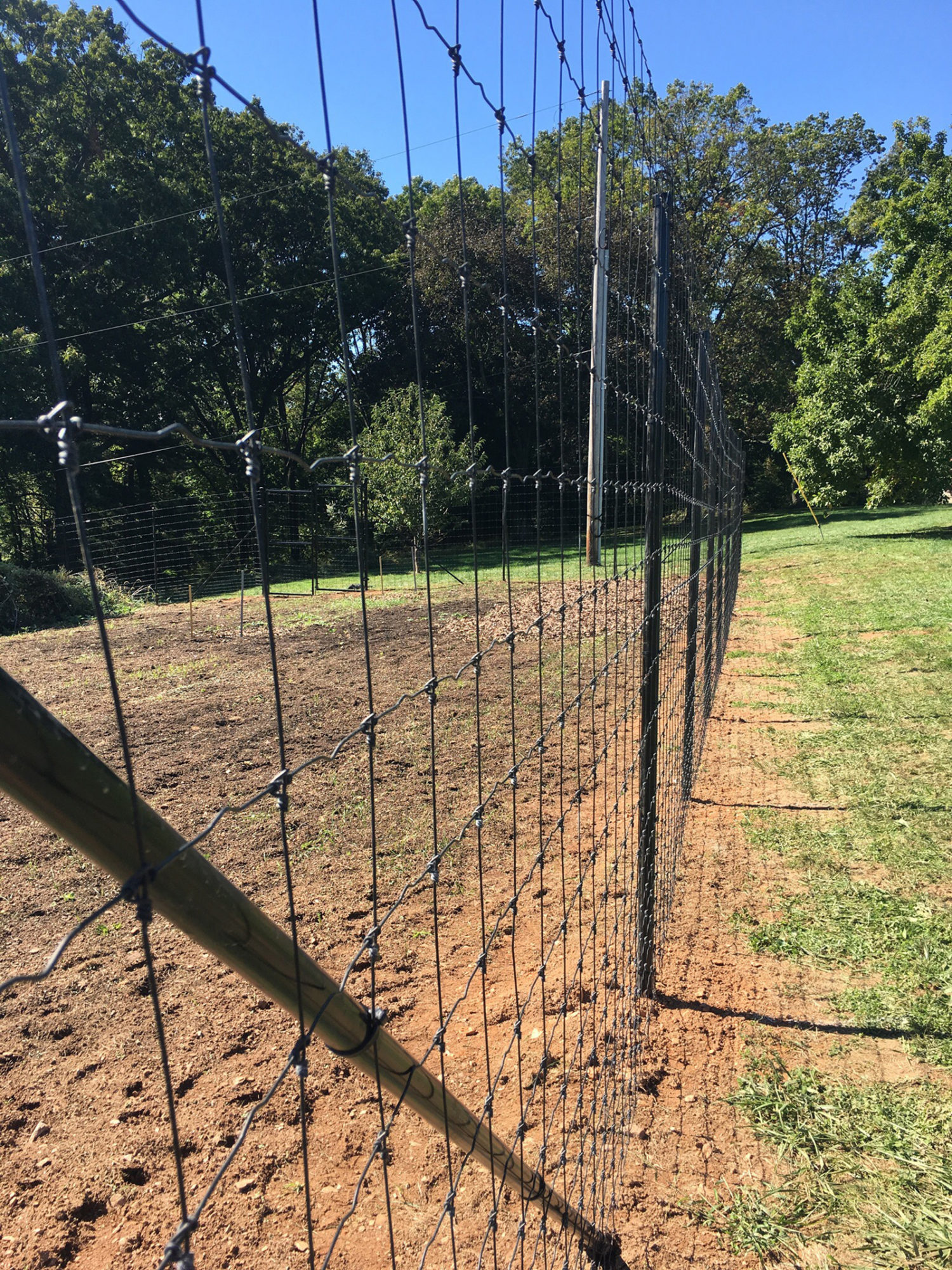 black deer fence around orchard