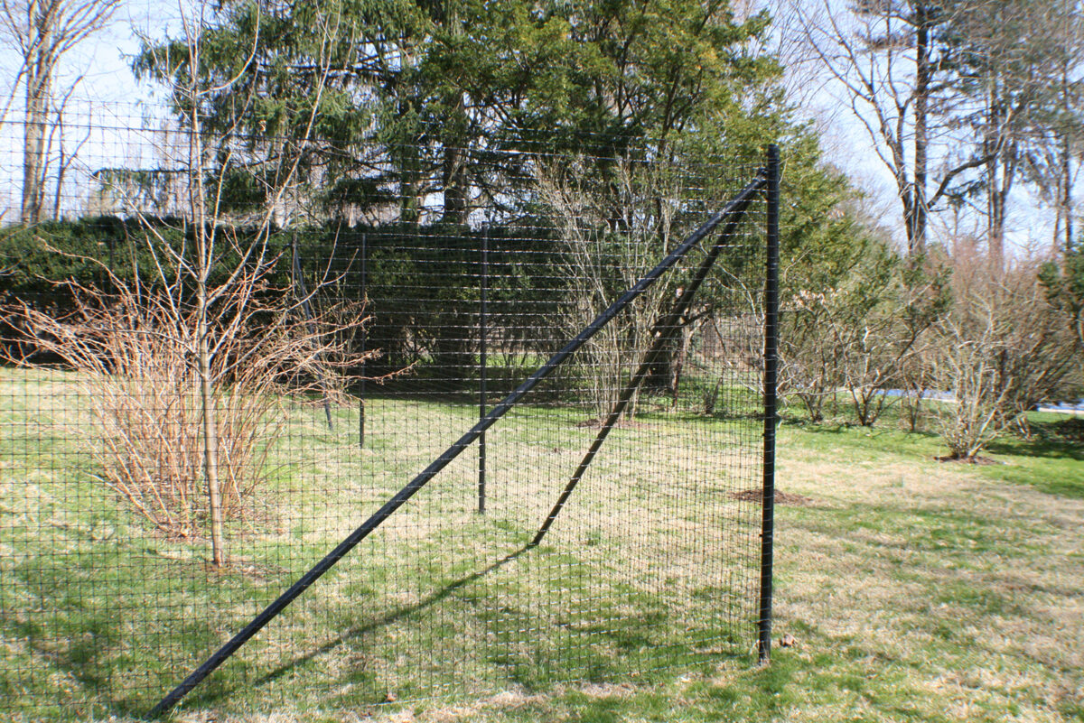 black deer fence around orchard