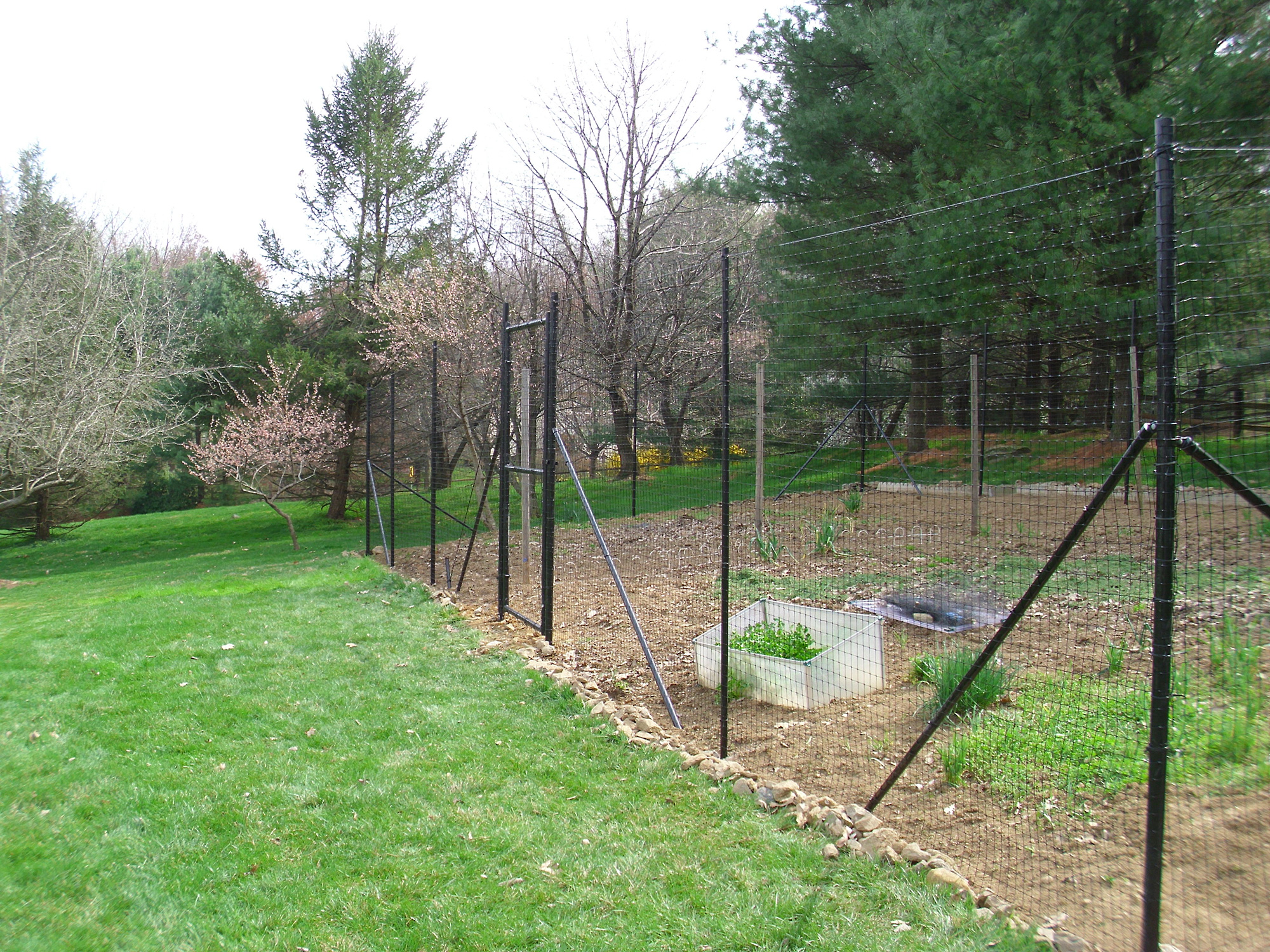 Deer fence protecting backyard garden