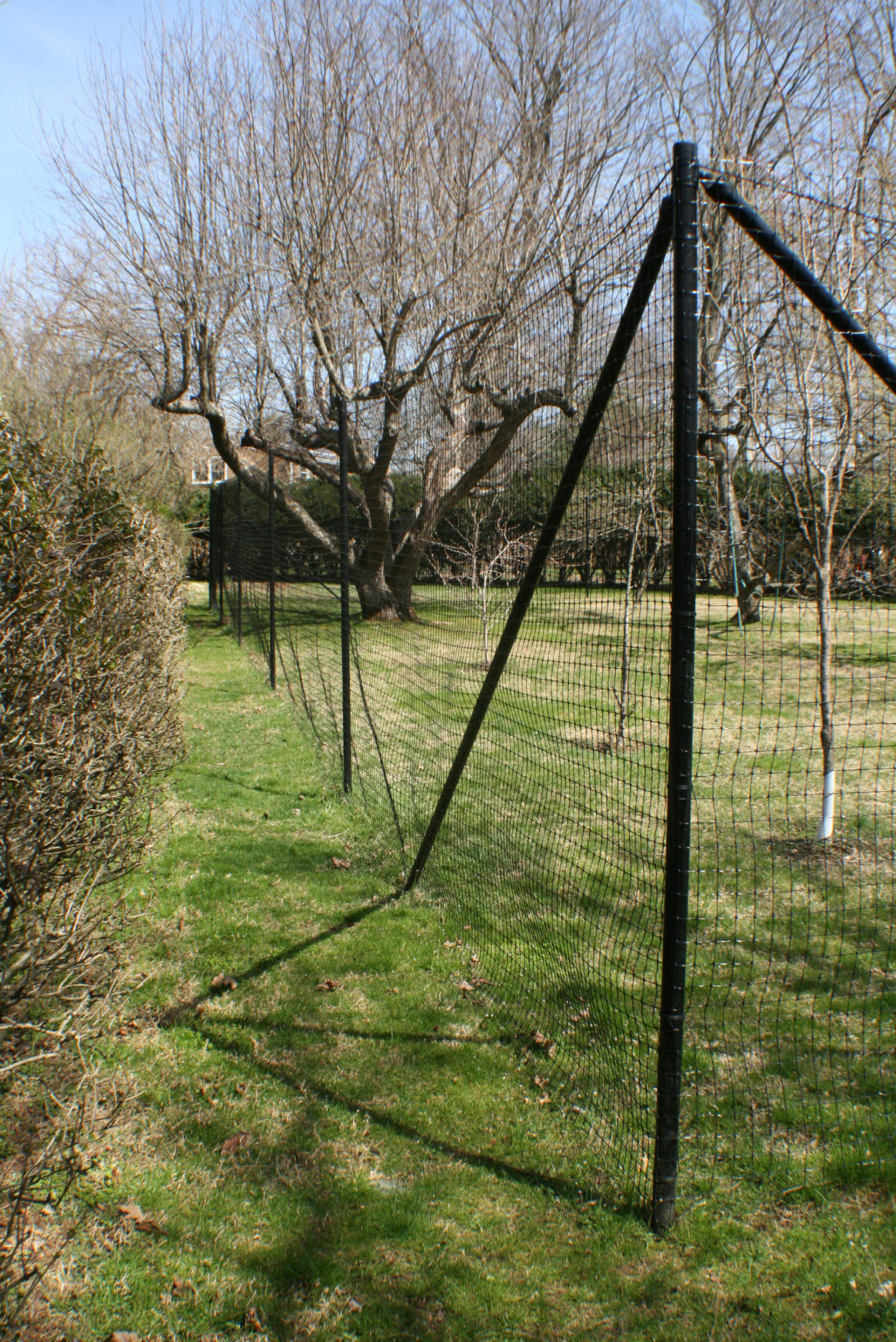 black deer fence around orchard