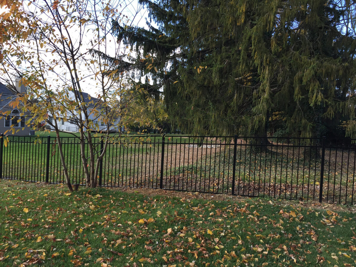 Ornamental aluminum fence in yard