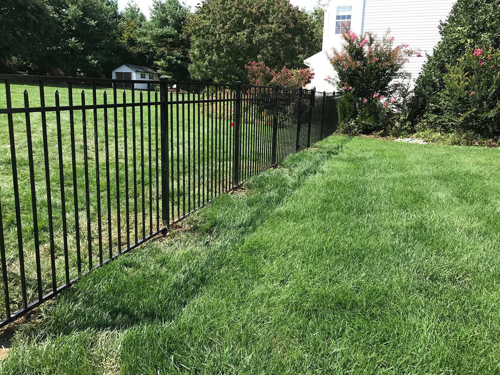 Ornamental aluminum fence in yard