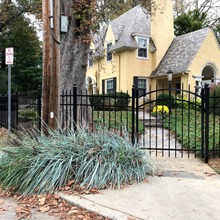 Ornamental aluminum fence with arched gate in yard
