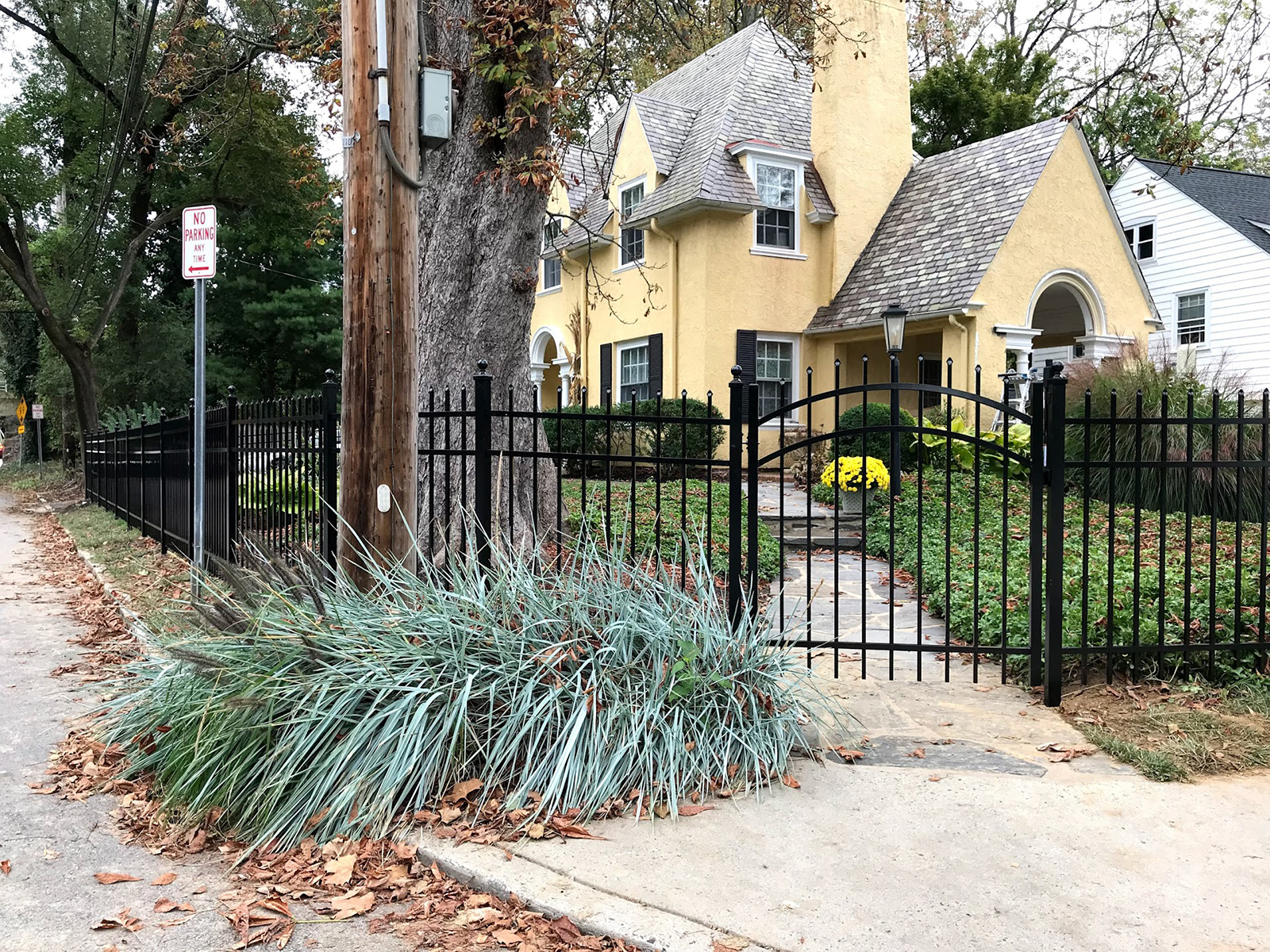 Ornamental aluminum fence with arched gate in yard