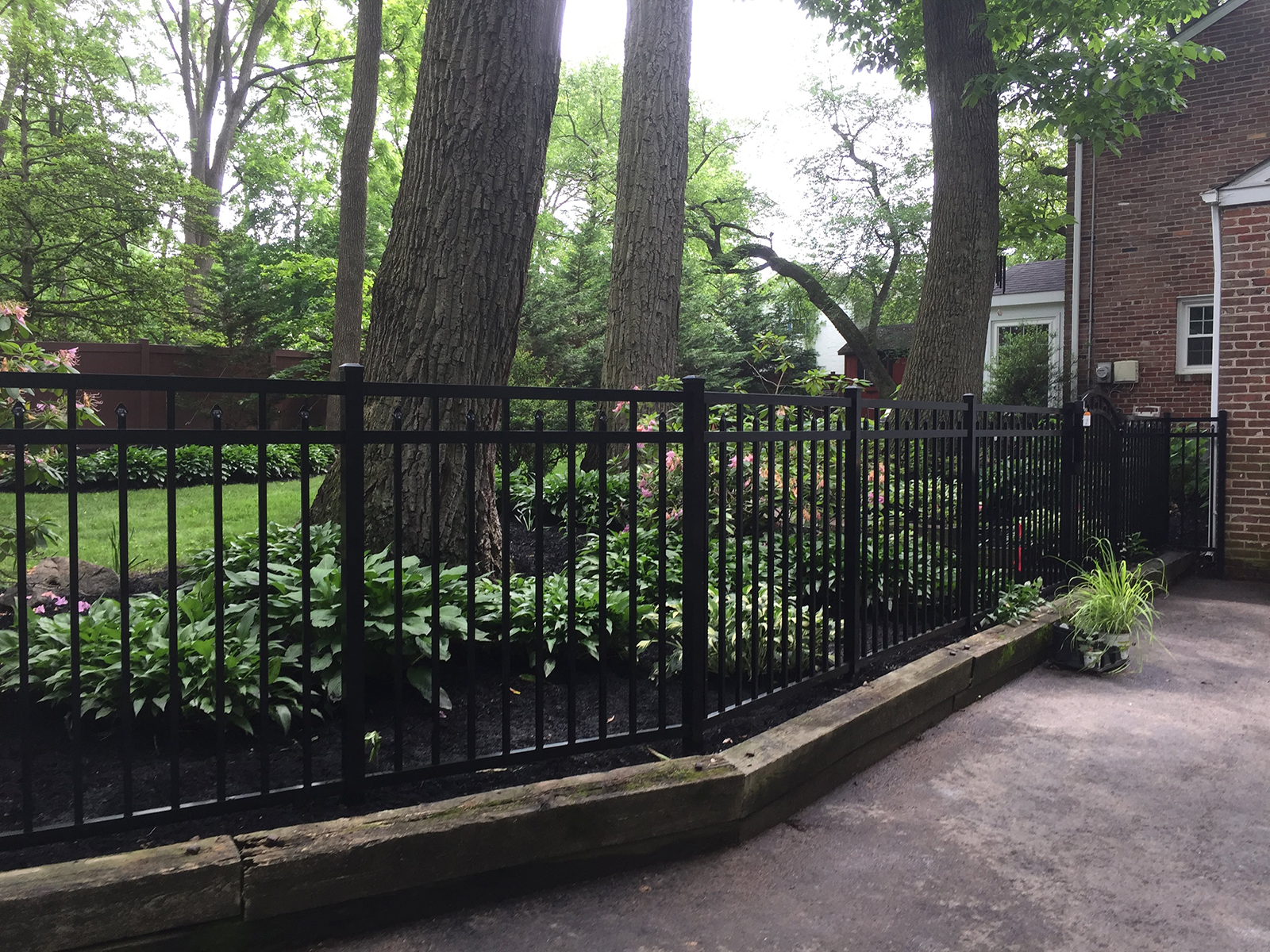 Ornamental aluminum fence with arched gate in yard