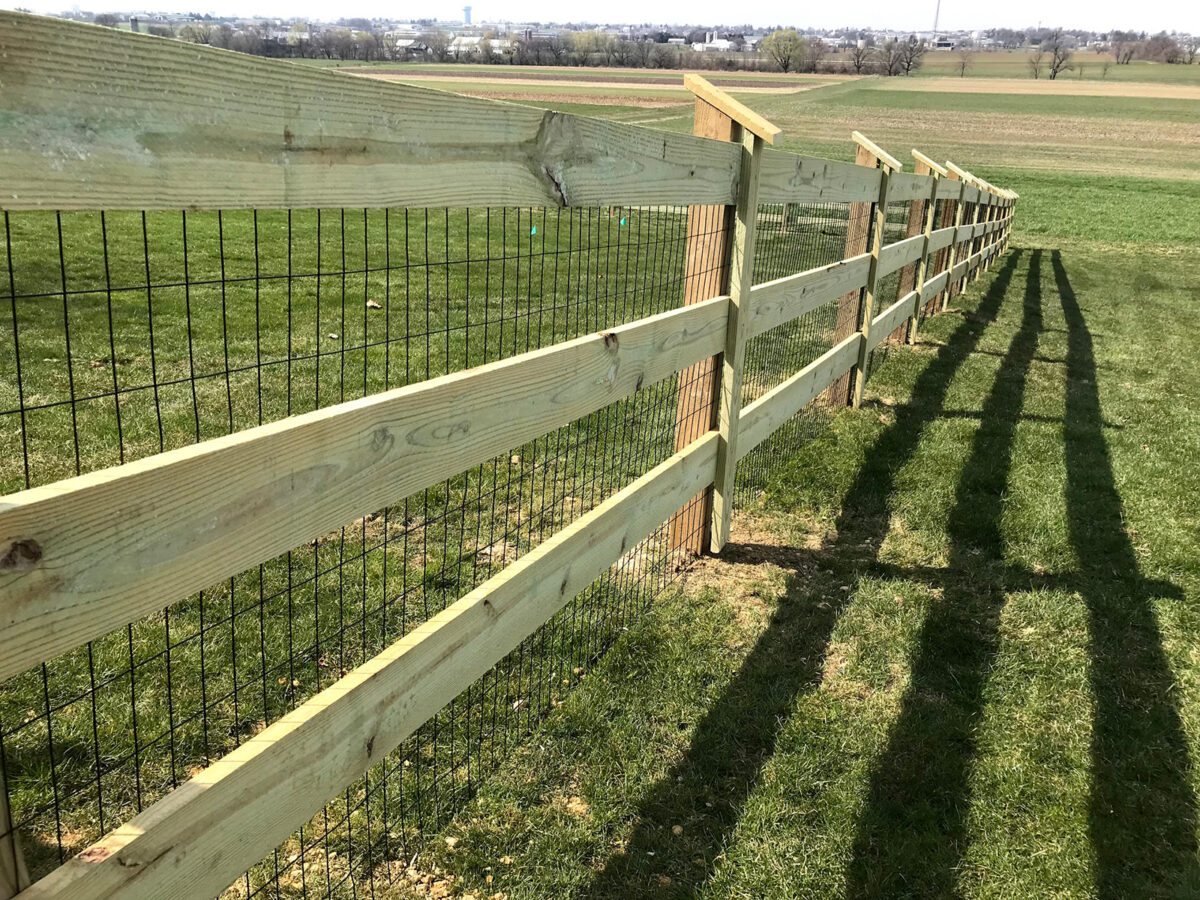 rail fence with wire mesh in yard