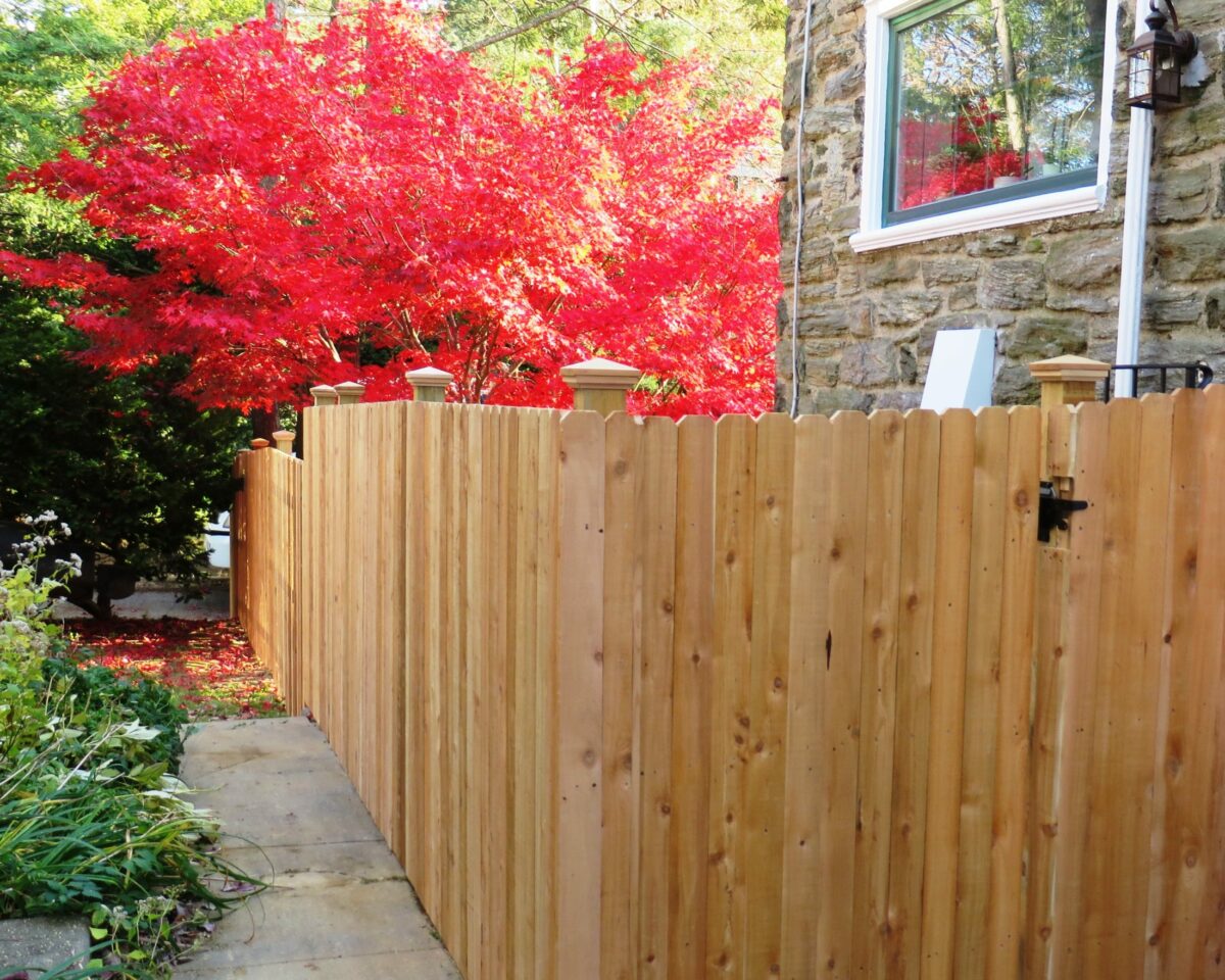 Red cedar solid board