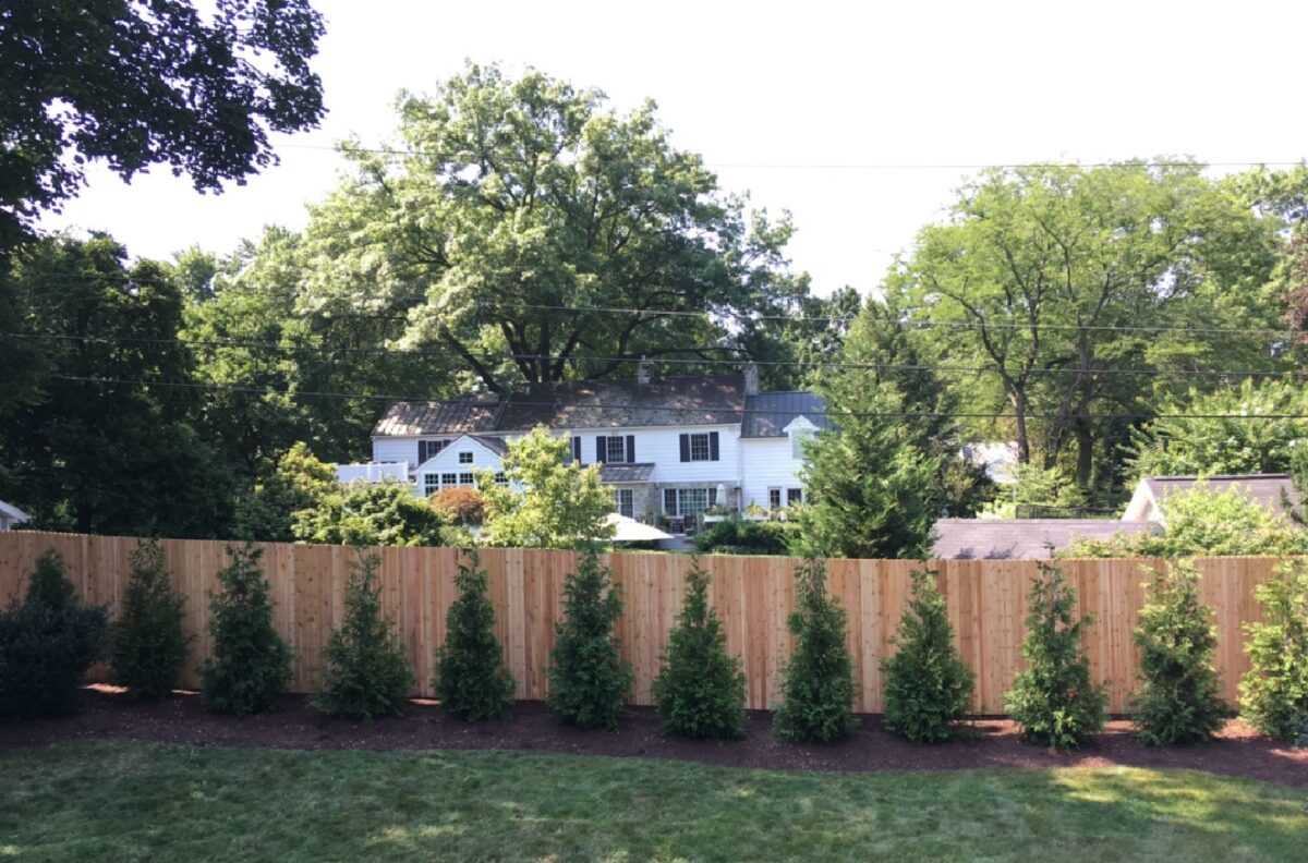 red cedar wood privacy fence