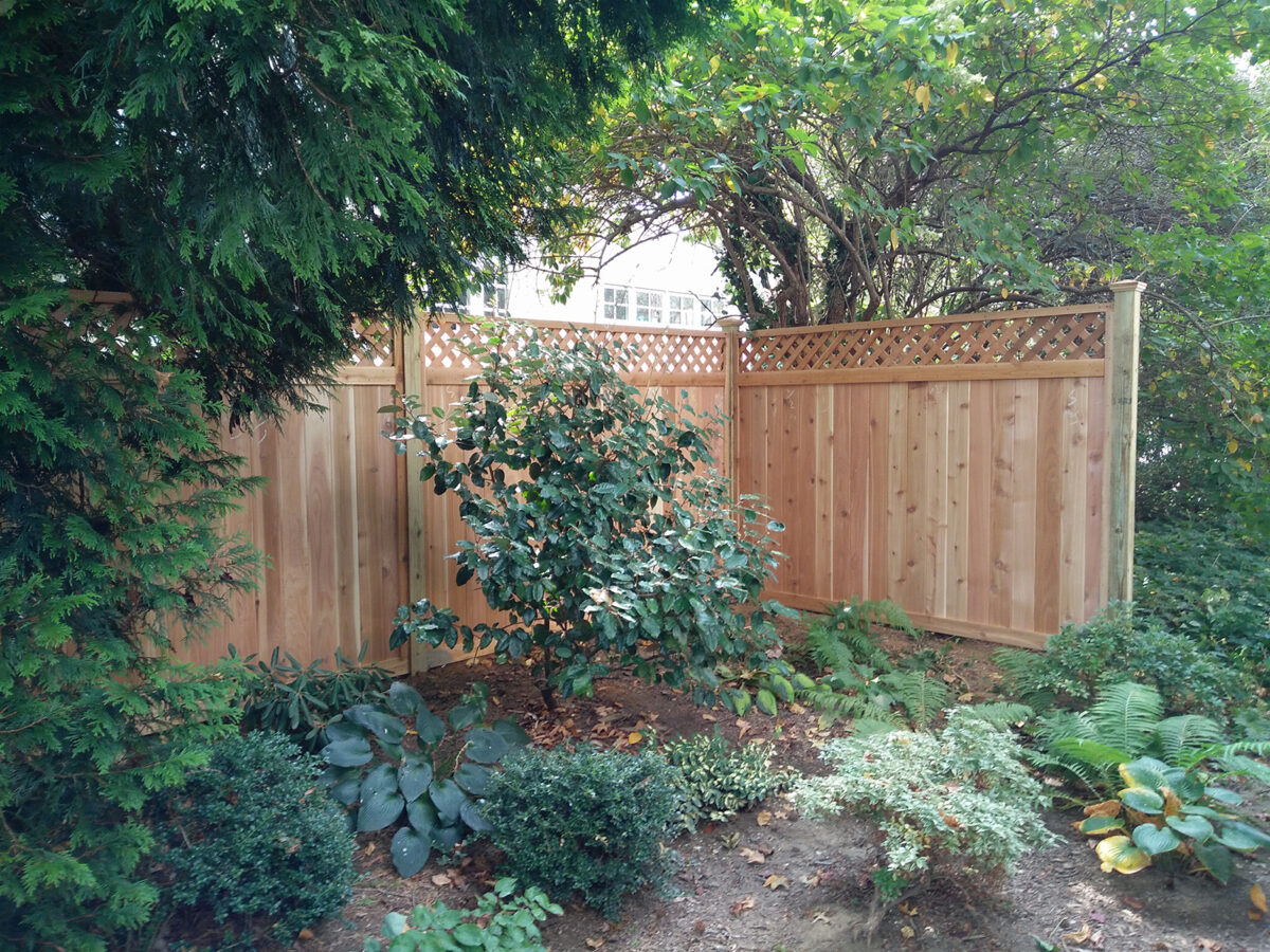 Framed red cedar privacy fence in yard with lattice top