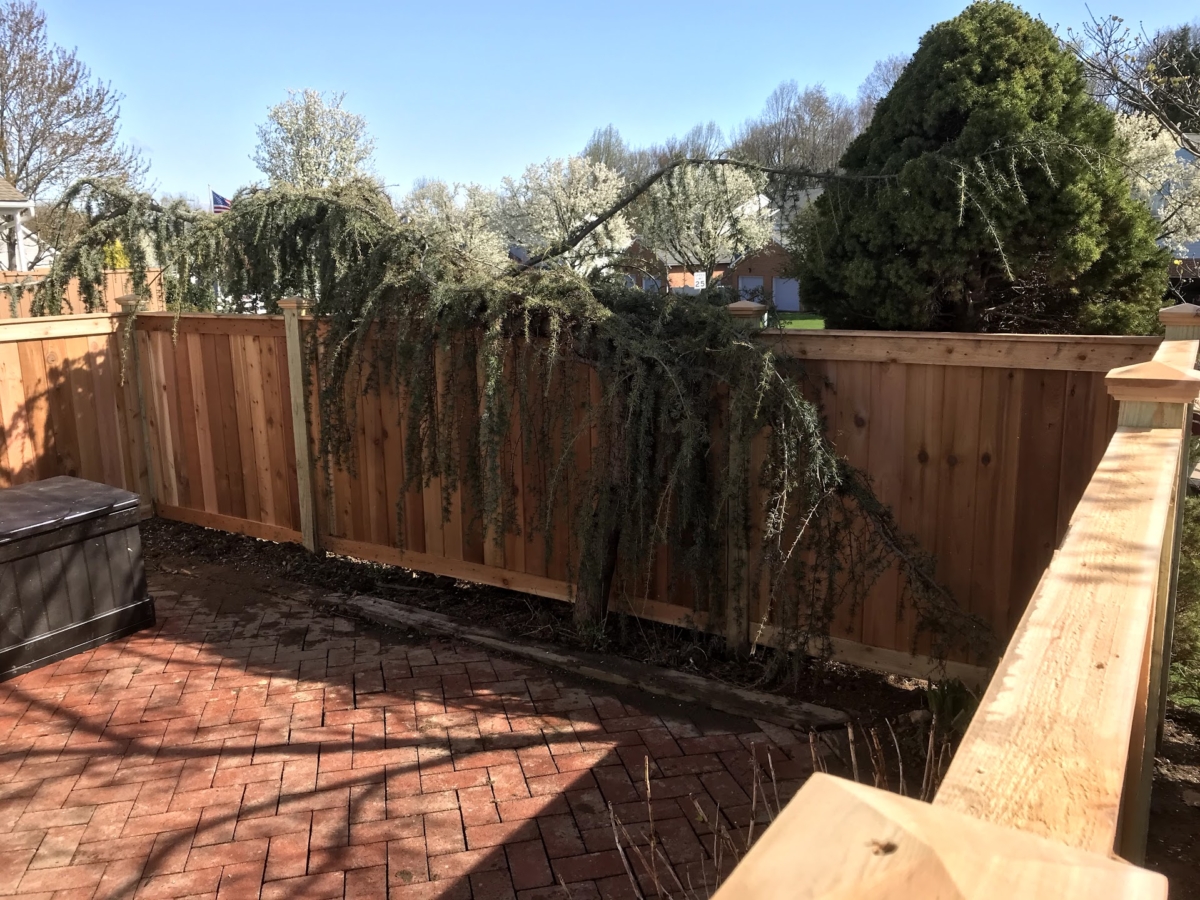 red cedar wood fence